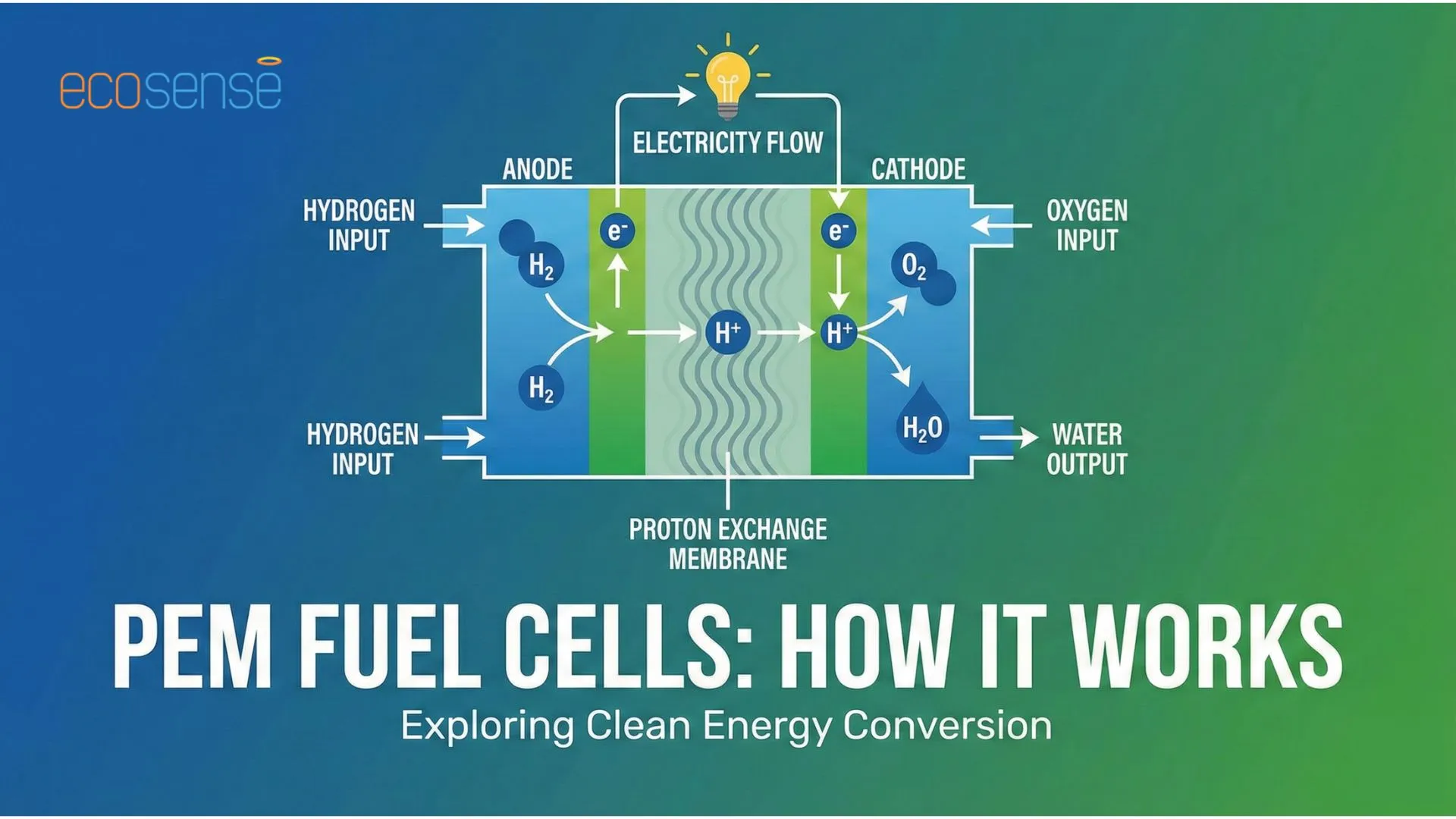 What Is a Proton Exchange Membrane Fuel Cell
